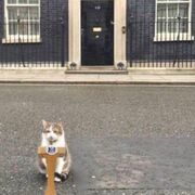 UK politics - paper 1