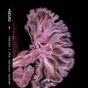 Neuropsychologie INTRA