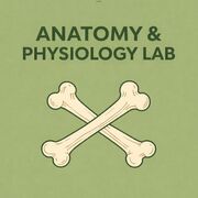 Anatomy and Physiology Lab