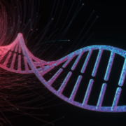 DMV14121 - Génomique vétérinaire 2