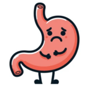 5º_1º EM2 ☛ Gastroenterologia