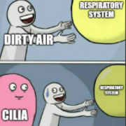 DMV1103 - Physiologie respiratoire