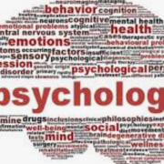 Cognitive Control