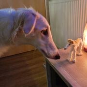 WEEK 3 CORRE LOCK IN