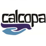 CALCOPA ROUTINE