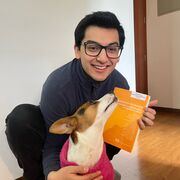 6. Medios de impugnación