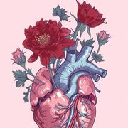 cardiovascular meds (in progress)