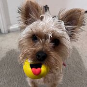 Adv Health Assessment Spring26