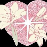 Sexualité et cycle de vie