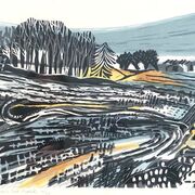 AB - Adaptations and Radiations