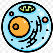 A level Biology - Topic 2