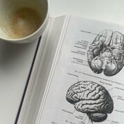 Psychology -  The Approaches (Aqa A-level)