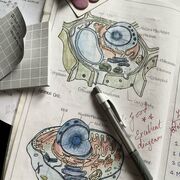 Biology (Semester 2)