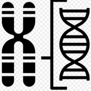 A level Biology - Topic 4