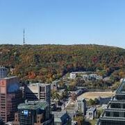 psychologie social - M