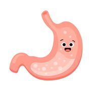 👷‍♀️Système digestif