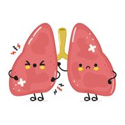 👷‍♀️Système respiratoire