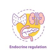6.1 Endocrine System