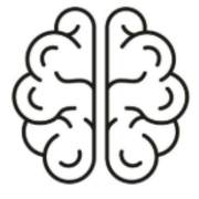 A Level Psychology: Memory