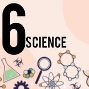 SCEINCE 6