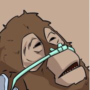 Dental Asssistant Sm:2