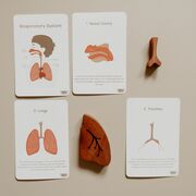 NUR 334 - Respiratory (Wk 1)