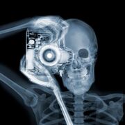 Radiographic Anatomy and Physiology