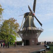 NT2 Nederlanse A1 Level *Link+* Words & Phrases British English & Japanese To Dutch