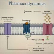 Advanced Pathophysiology