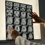 Cell Biology Of Neurons