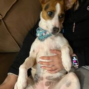 2. Derecho Procesal Orgánico