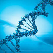 Genetics