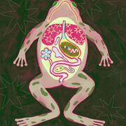 Biochimie et Métabolisme