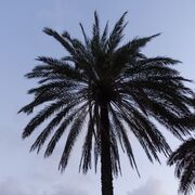 Geography AQA👤💰🌳