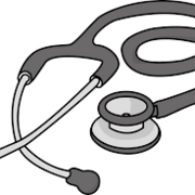 Physical & Health Assessment (Updated Spring 2026)