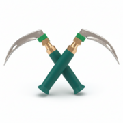 2. Health Assessment