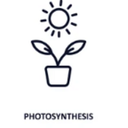 A level Biology - Topic 5