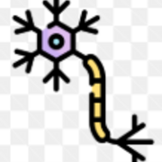 A level Biology - Topic 6