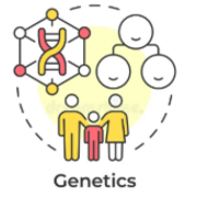 A level Biology - Topic 7