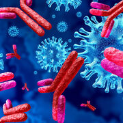 IML303 - Immunologie