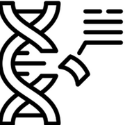 A level Biology - Topic 8