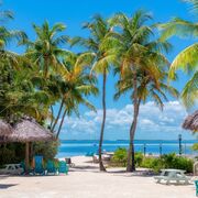 CPRs, MCIDs, & Neuropathies**