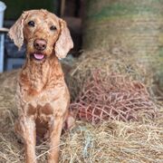 Anatomy & Physiology Block 7- Neurological