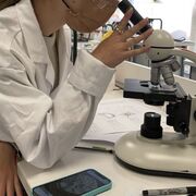 Cellular & Molecular Biology 2