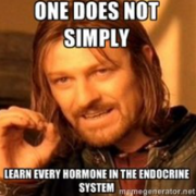 DMV1103 - Système endocrinien