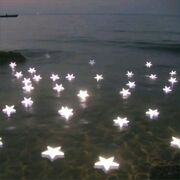 Psycho sociale L1 S2