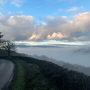 * CISI Risk in Financial Services