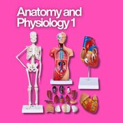 Anatomy and Physiology 1