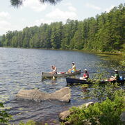 Applied Molecular Genetics