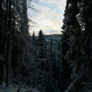 Finnish introduction